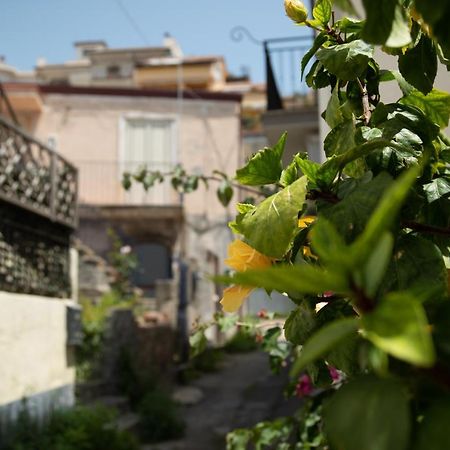 Nick & Santo'S Holiday Homes B&B ジャルディーニ・ナクソス エクステリア 写真